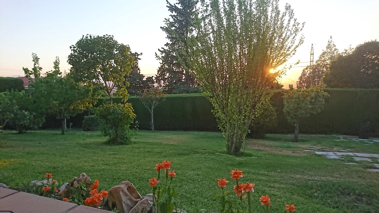 Photo of Outdoor in Barrio de la Vega