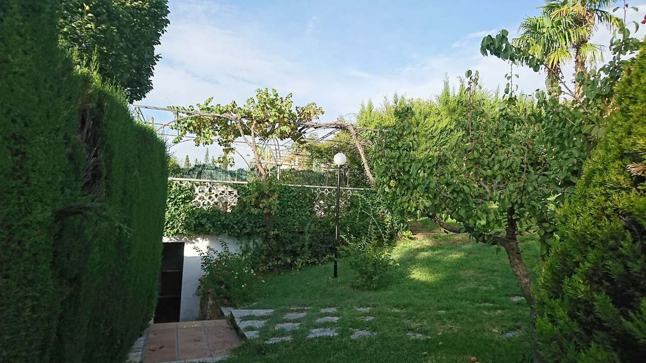 Photo of Outdoor in Barrio de la Vega
