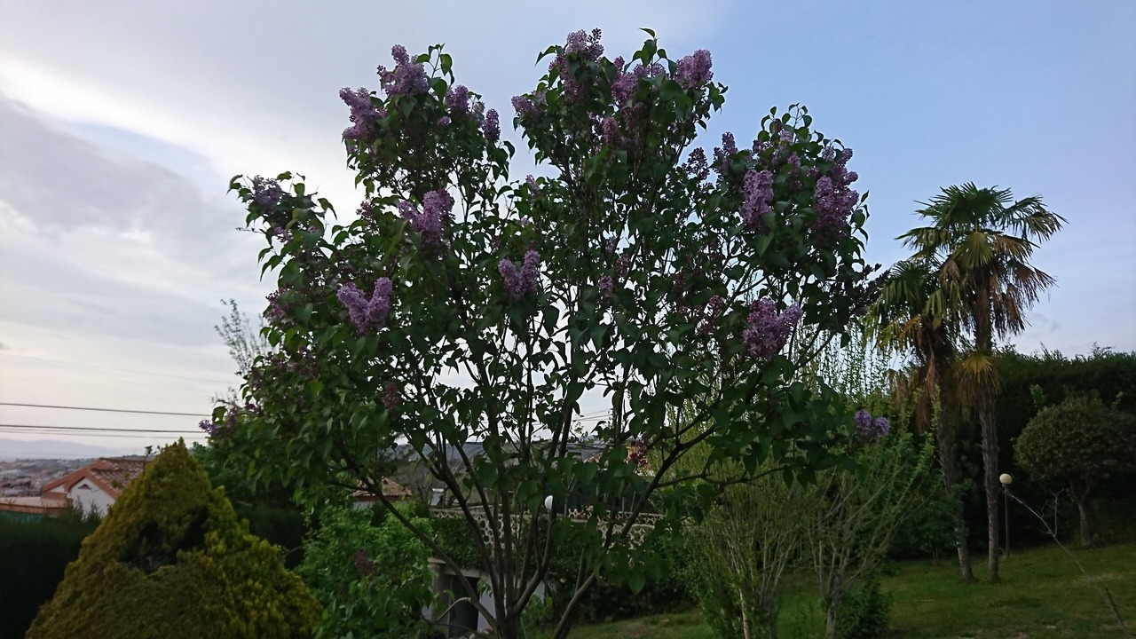 Photo of Outdoor in Barrio de la Vega