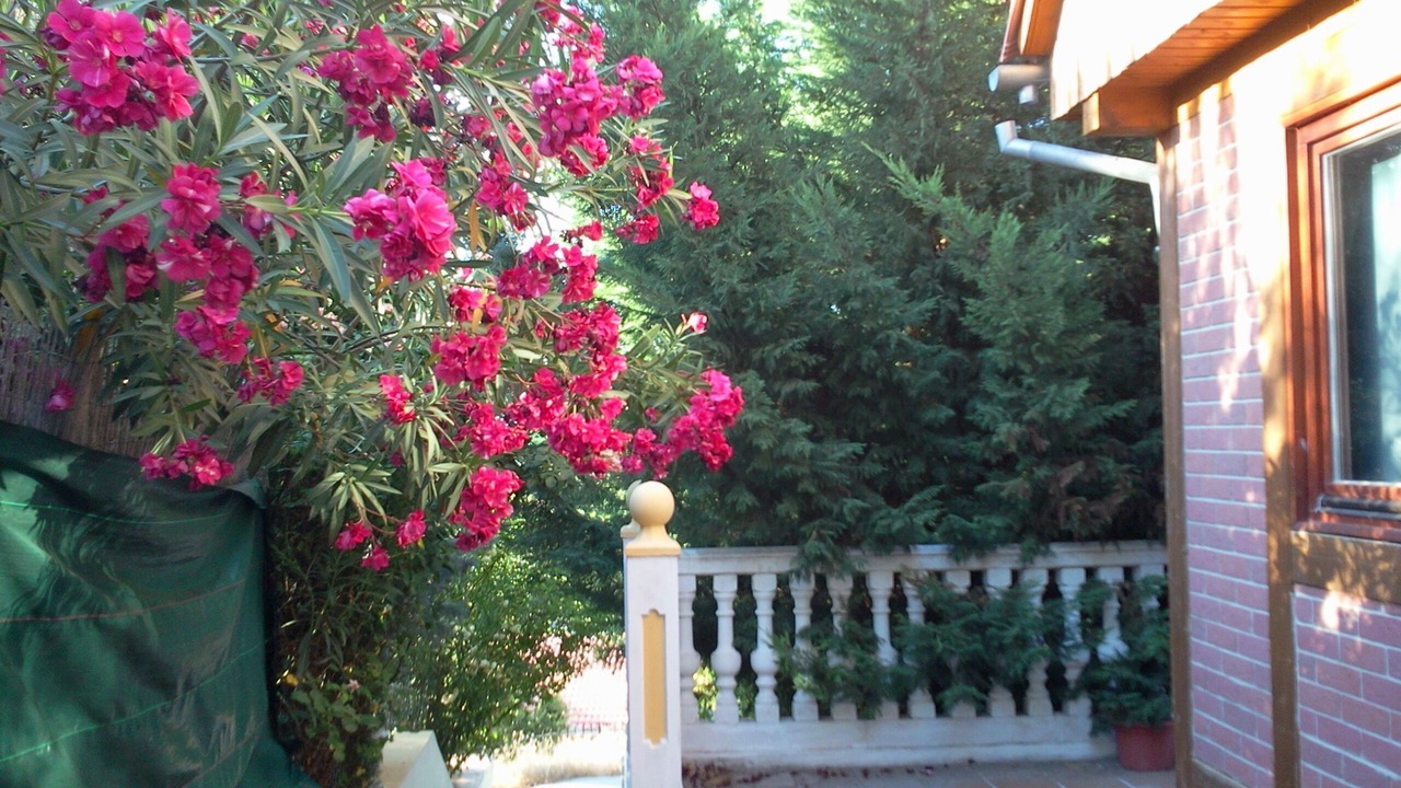 Photo of Outdoor in Moclin