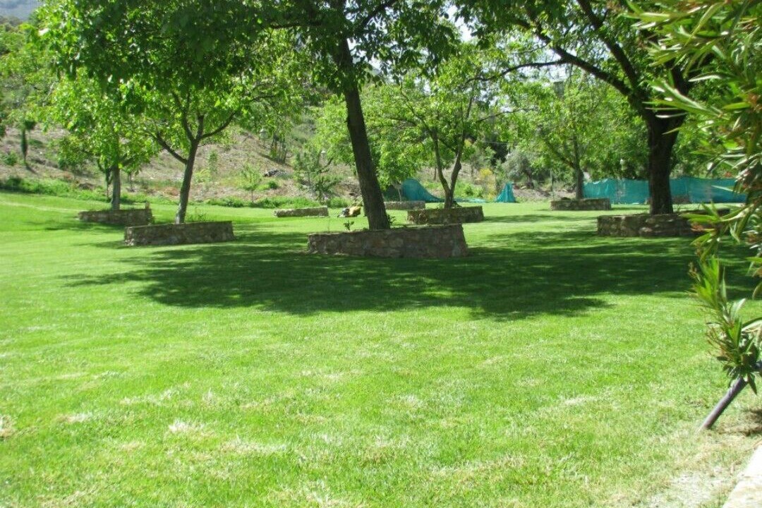 Photo of Outdoor in Guejar Sierra