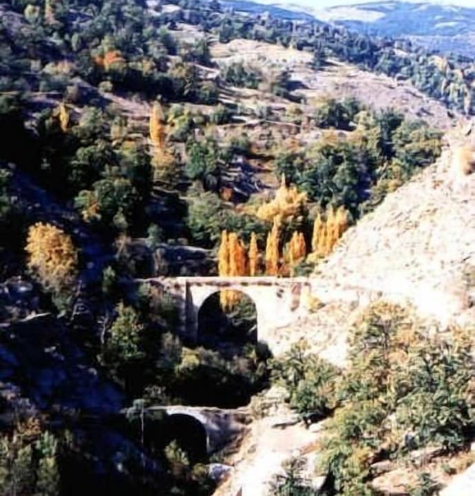 Photo of Others in Mecina Bombaron
