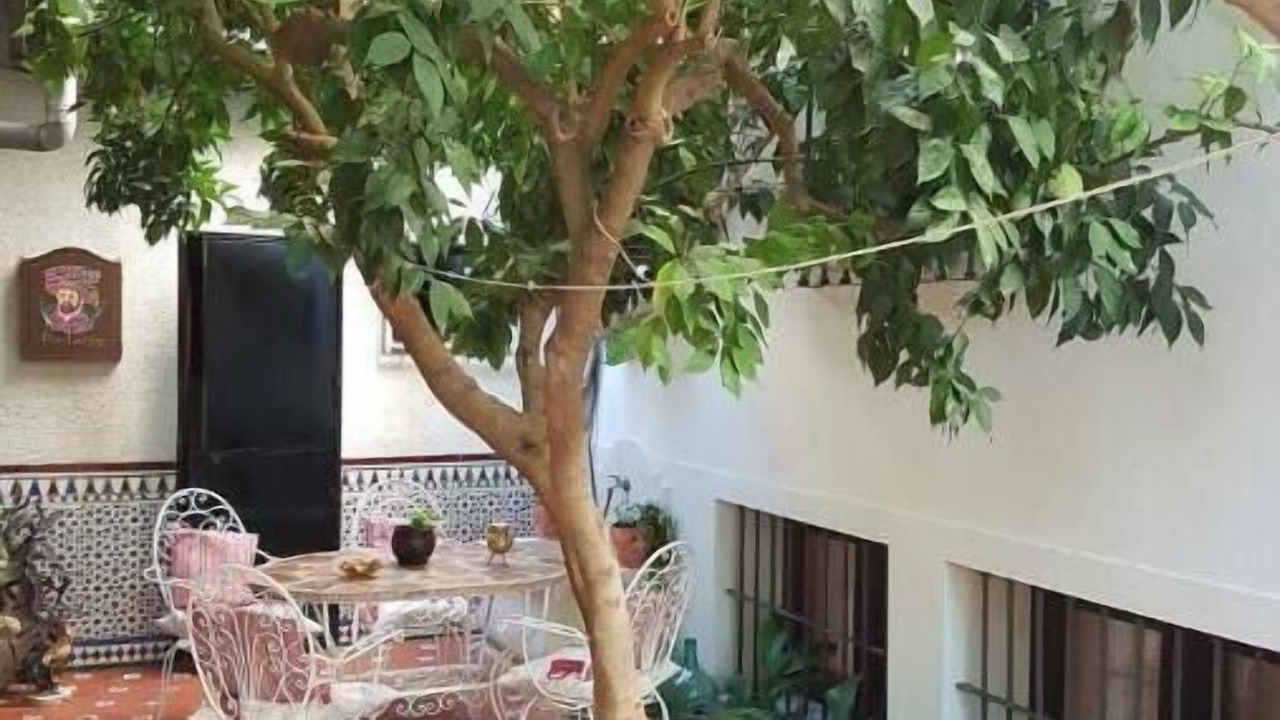 Photo of Outdoor in Norte