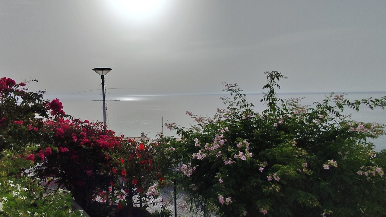 Photo of Others in Castell de Ferro