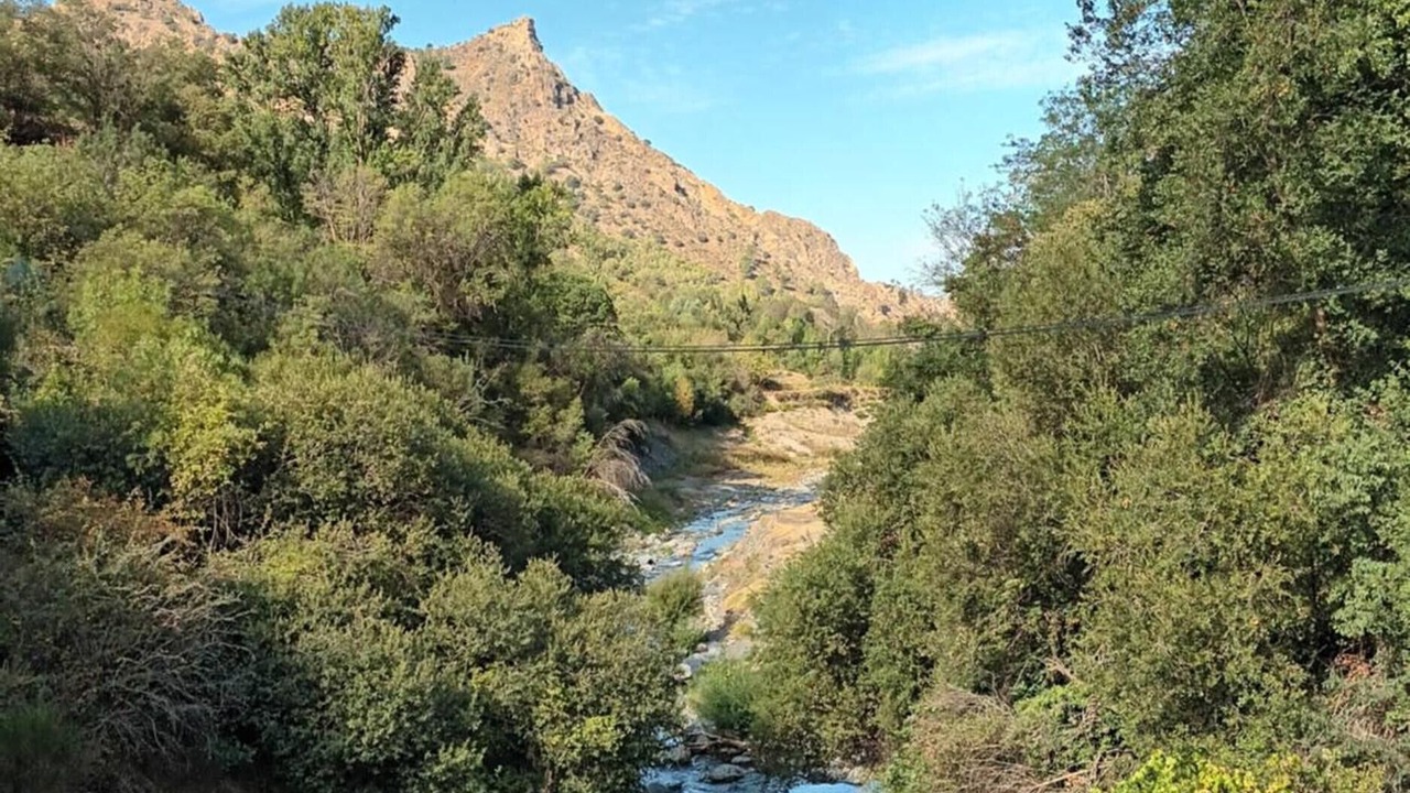 Photo of Others in Guejar Sierra