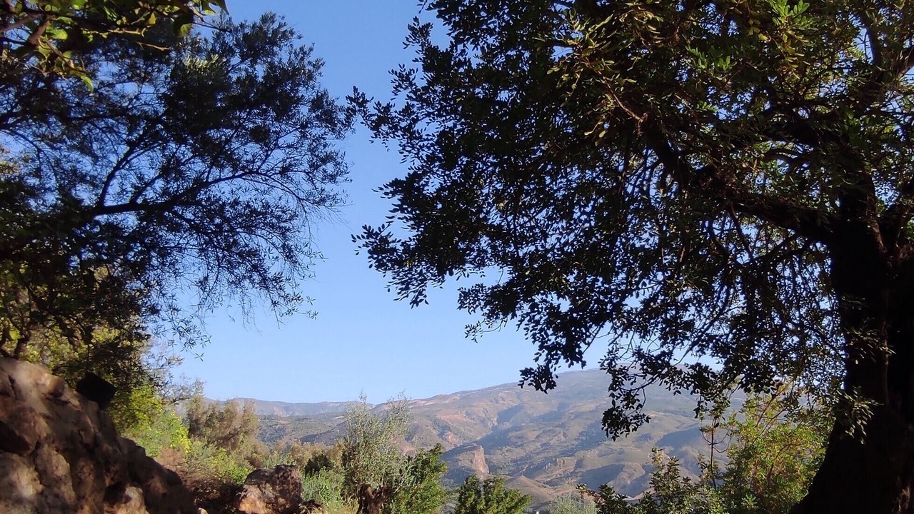 Photo of Others in Beznar