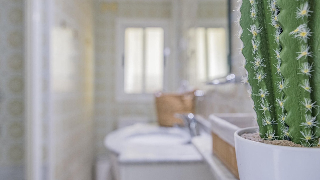 Photo of Bathroom in Chana
