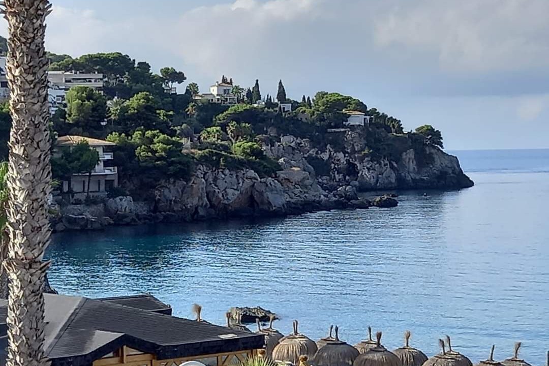 Photo of Others in La Herradura