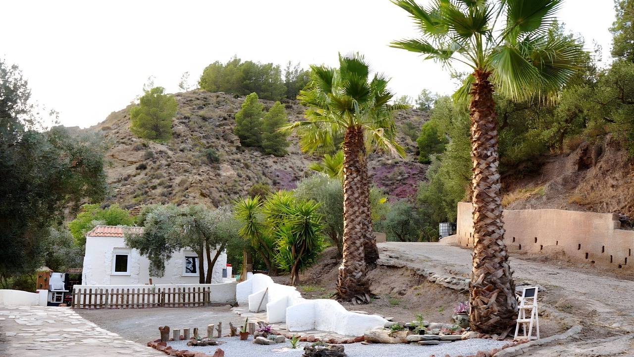 Photo of Outdoor in Alcolea