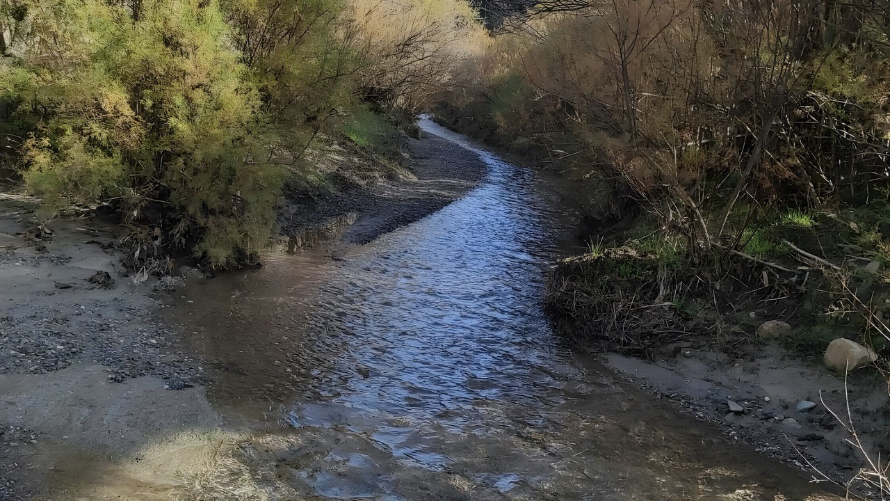 Photo of Others in Alcolea