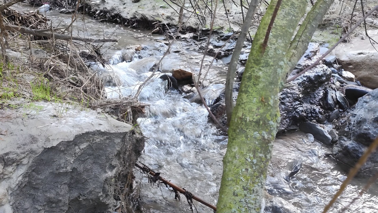 Photo of Others in Alcolea