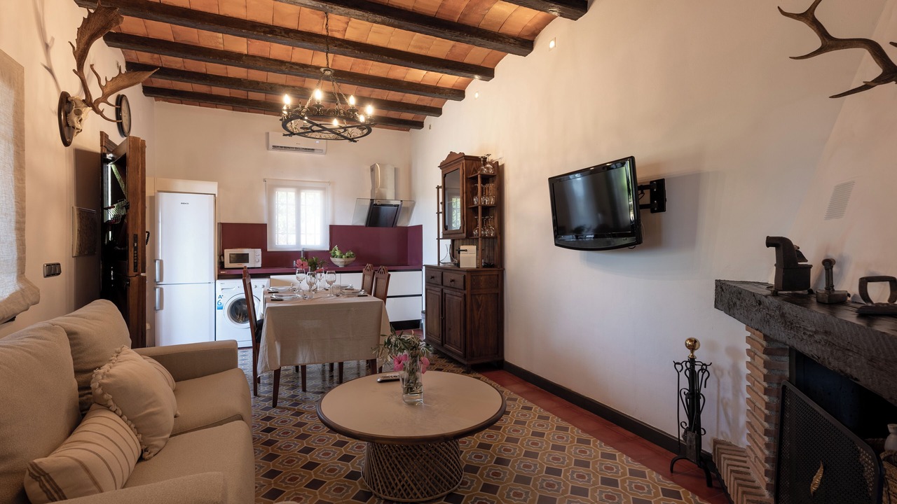Photo of Livingroom in Salobrena