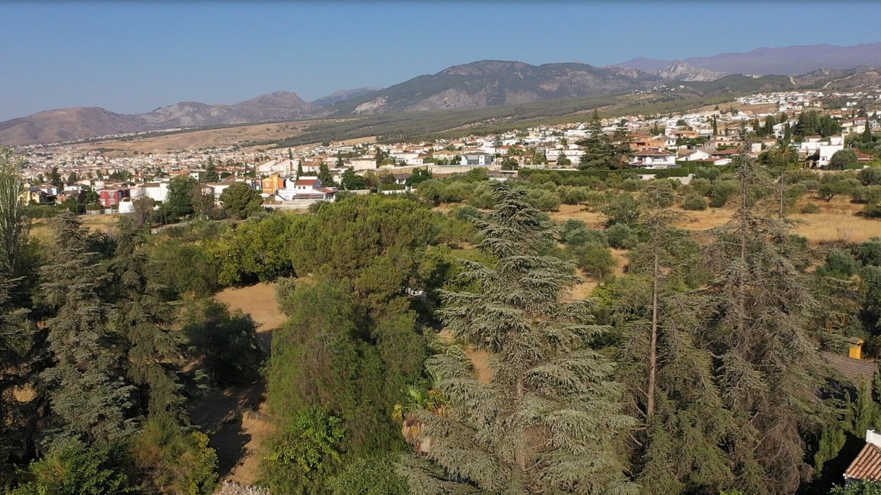 Photo of Others in Gojar