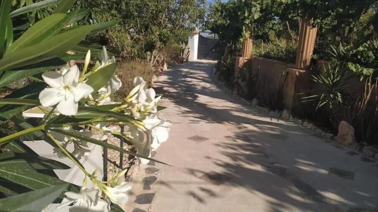 Photo of Outdoor in Durcal