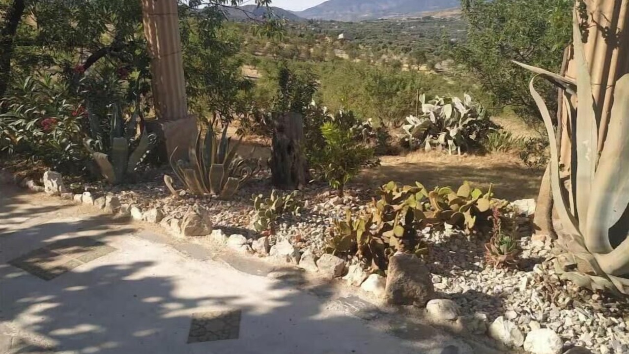Photo of Outdoor in Durcal