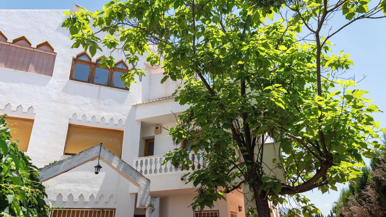 Photo of Outdoor in Peligros