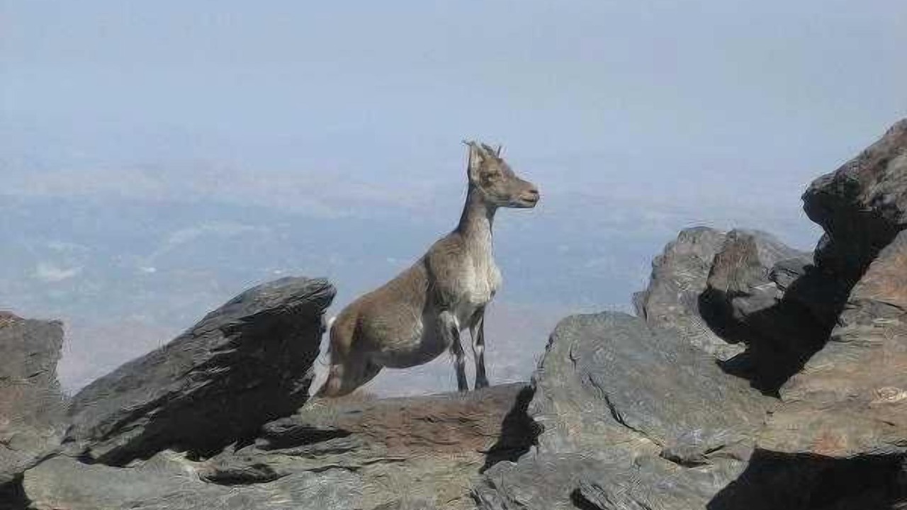 Photo of Others in Trevelez