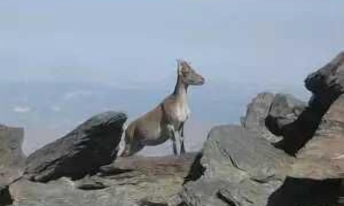 Photo of Others in Trevelez