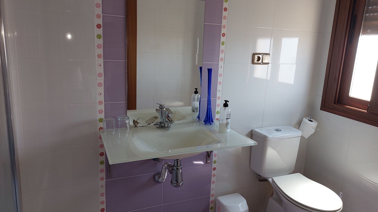 Photo of Bathroom in Soportujar