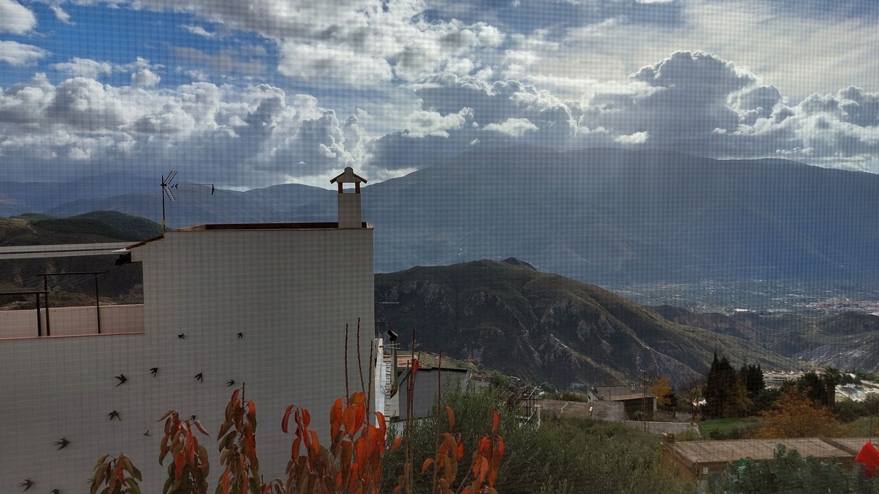Photo of Others in Soportujar