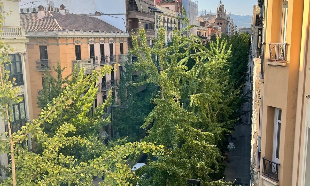 Photo of Others in Centro - Sagrario