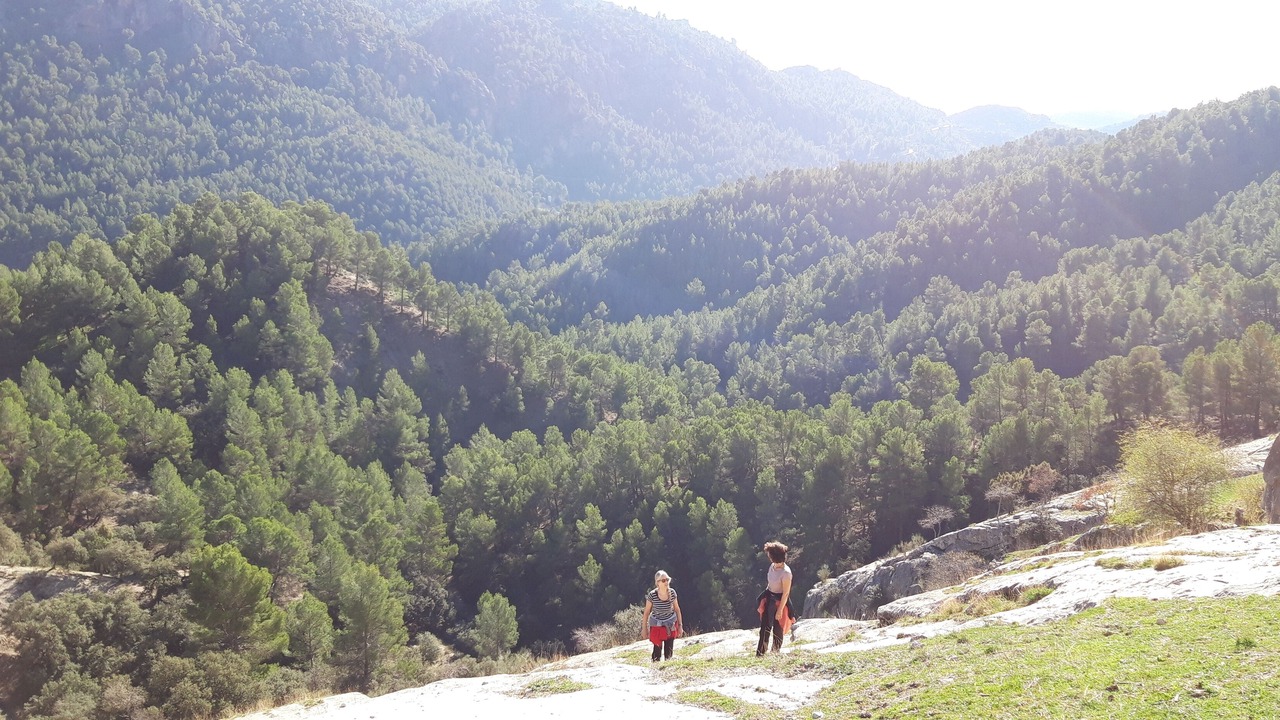 Photo of Others in Castril