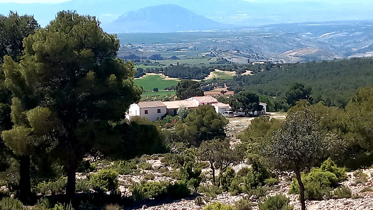 Photo of Others in Castril