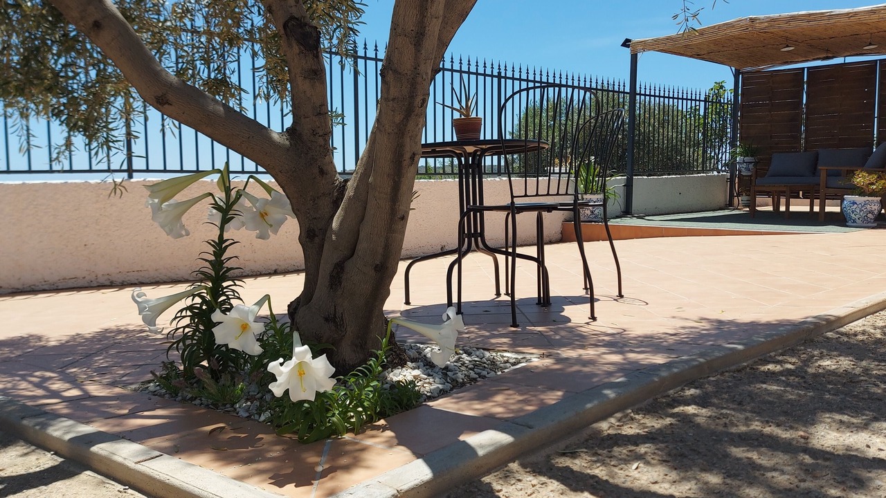 Photo of Patio Balcony in Albondon