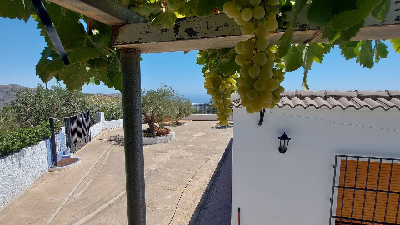 Photo of Outdoor in Albondon