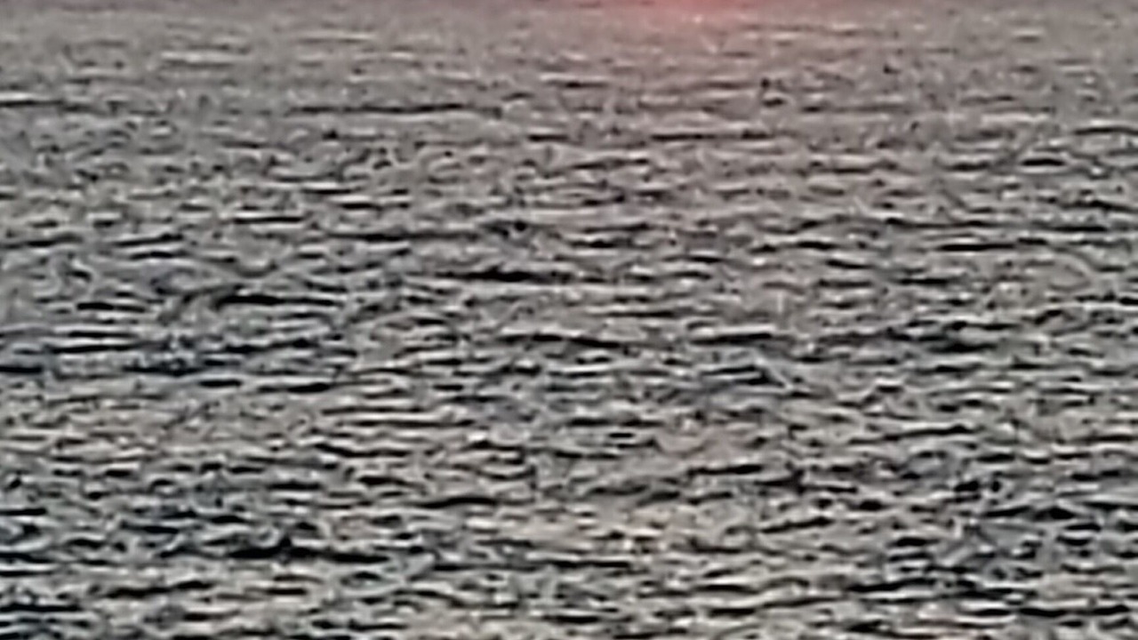 Photo of Others in Albondon