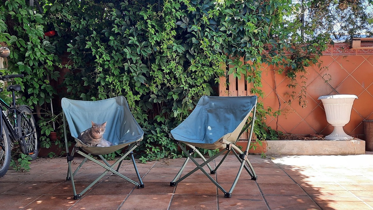 Photo of Patio Balcony in Barrio de la Vega