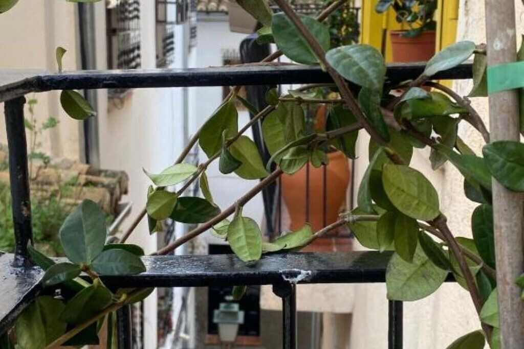 Photo of Outdoor in Beiro