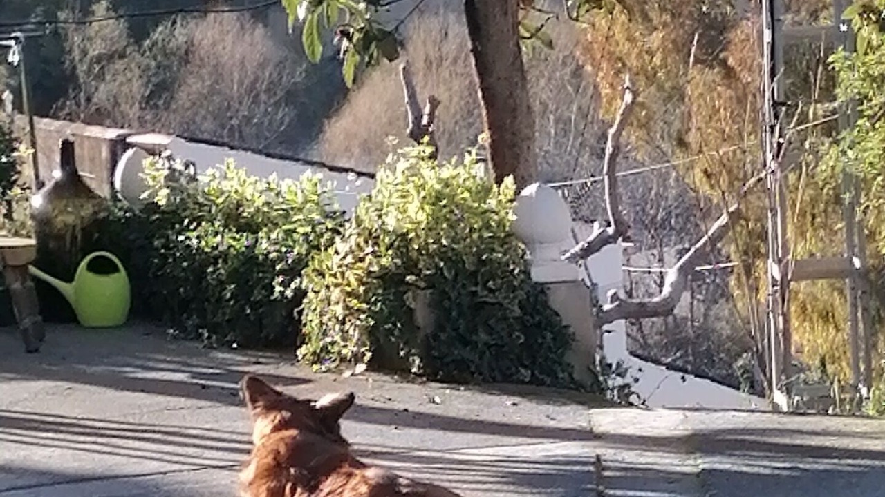 Photo of Outdoor in Pinos Genil