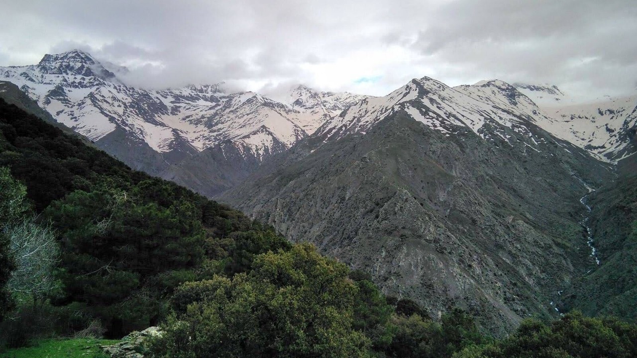Photo of Others in Guejar Sierra