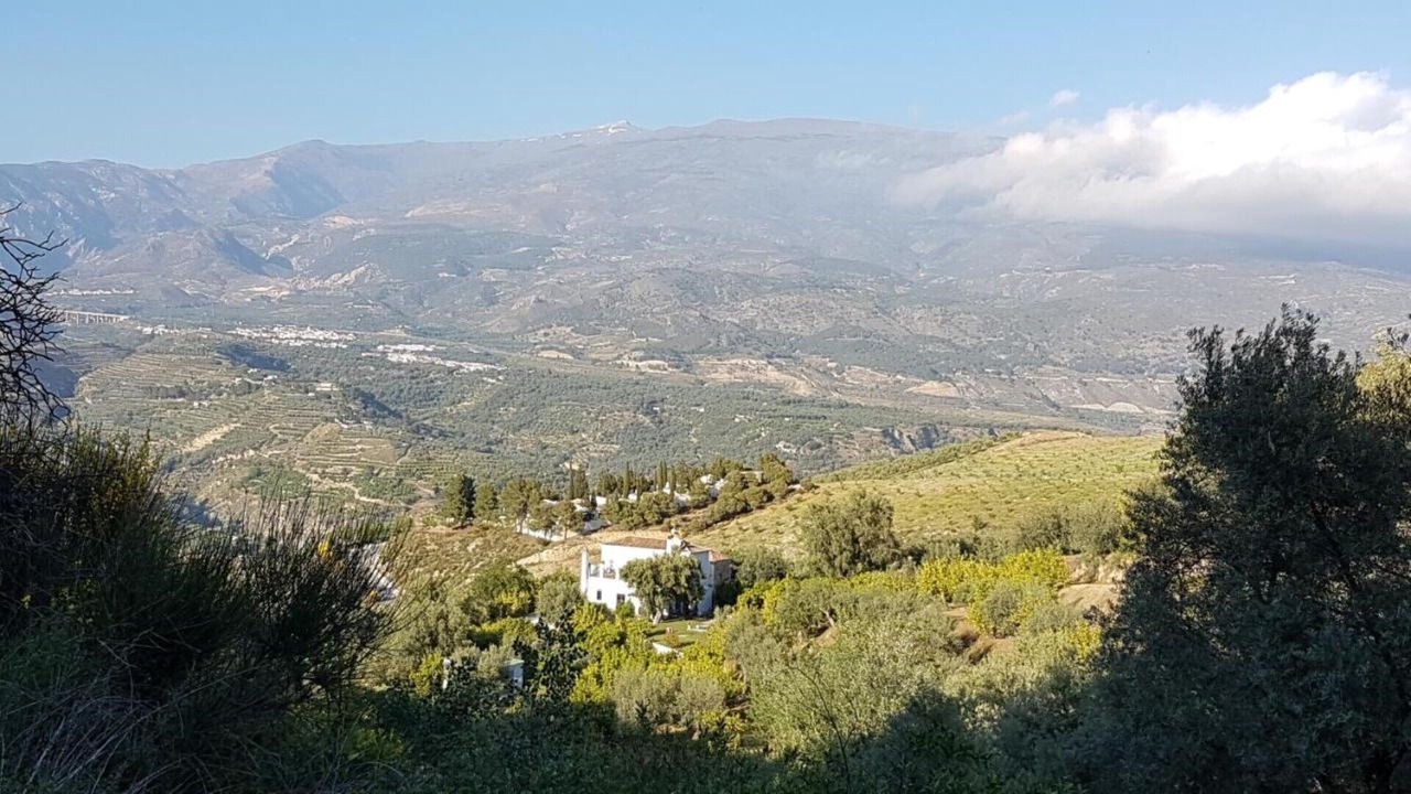 Photo of Others in El Valle