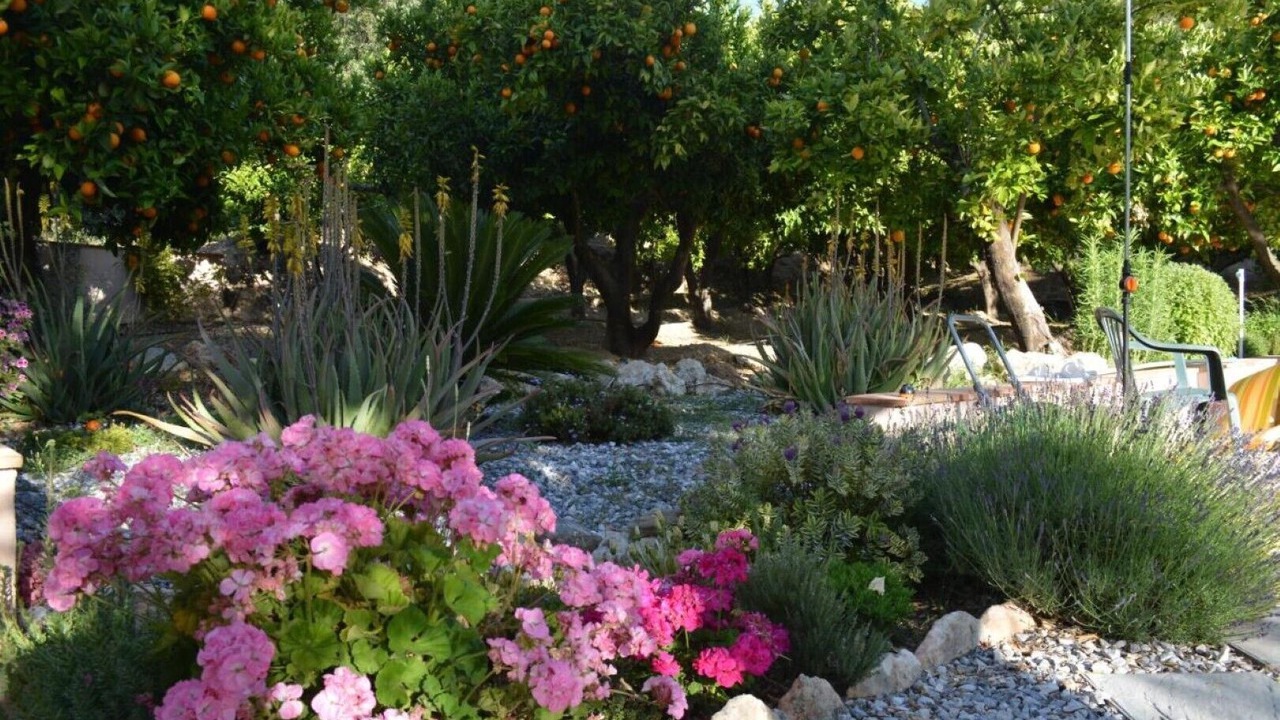 Photo of Outdoor in El Valle
