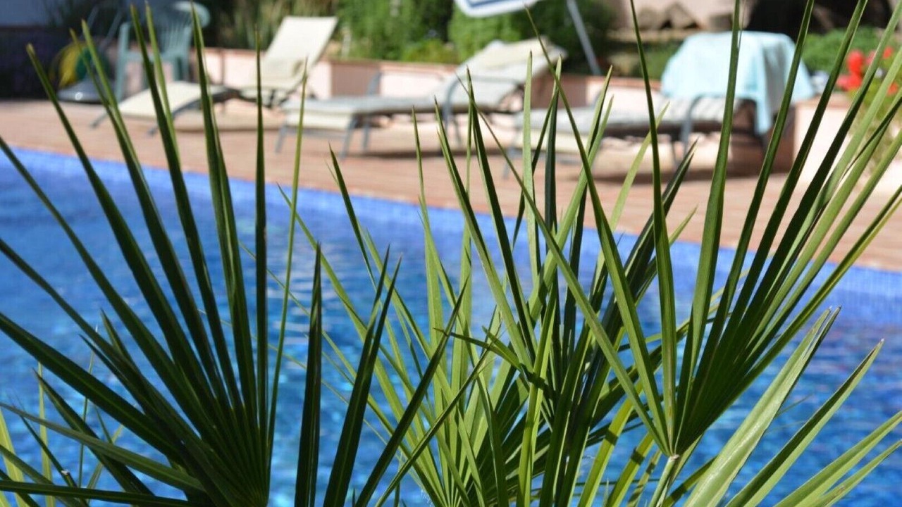 Photo of Outdoor in El Valle