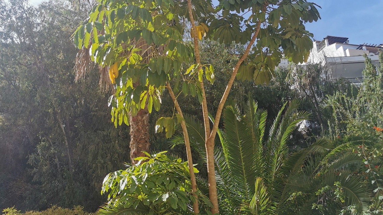 Photo of Outdoor in Almunecar