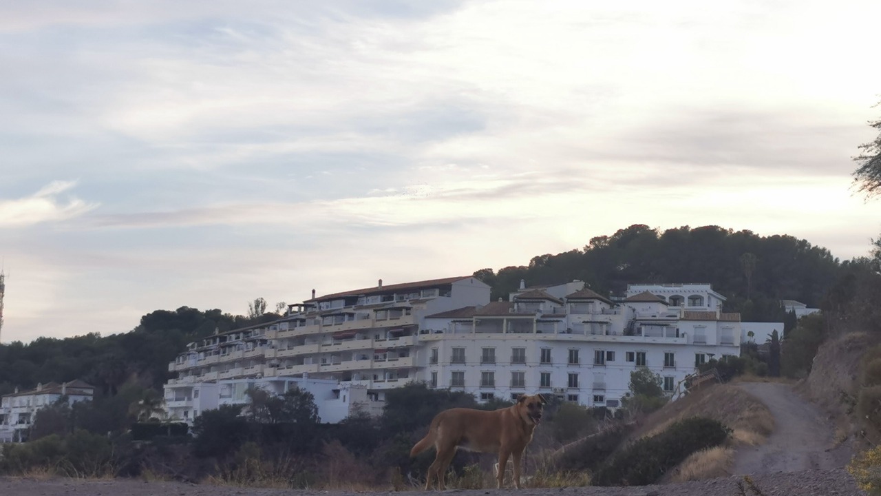 Photo of Outdoor in Almunecar