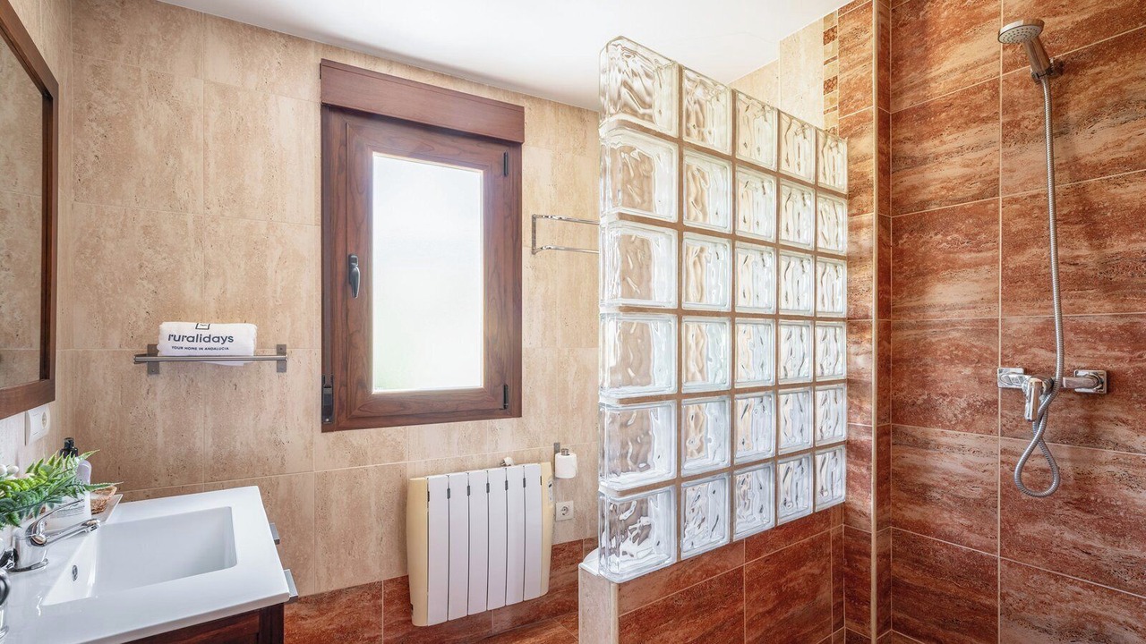 Photo of Bathroom in Guevejar
