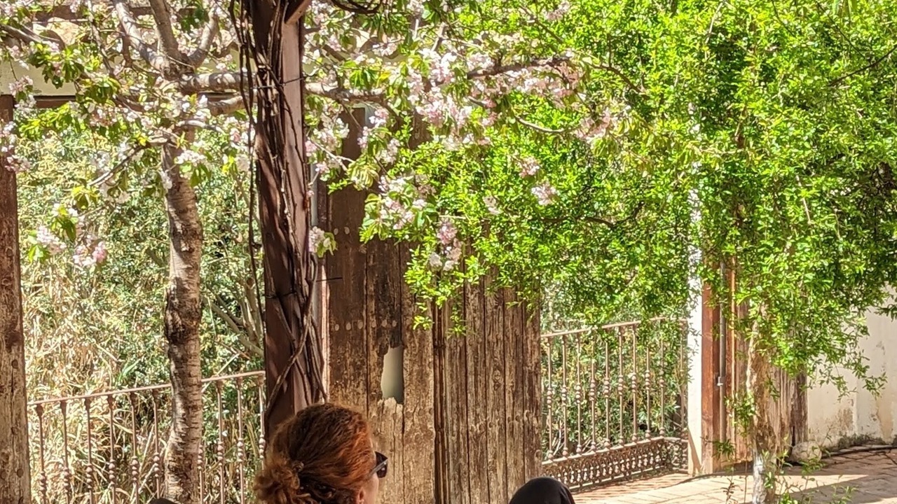 Photo of Patio Balcony in Salar