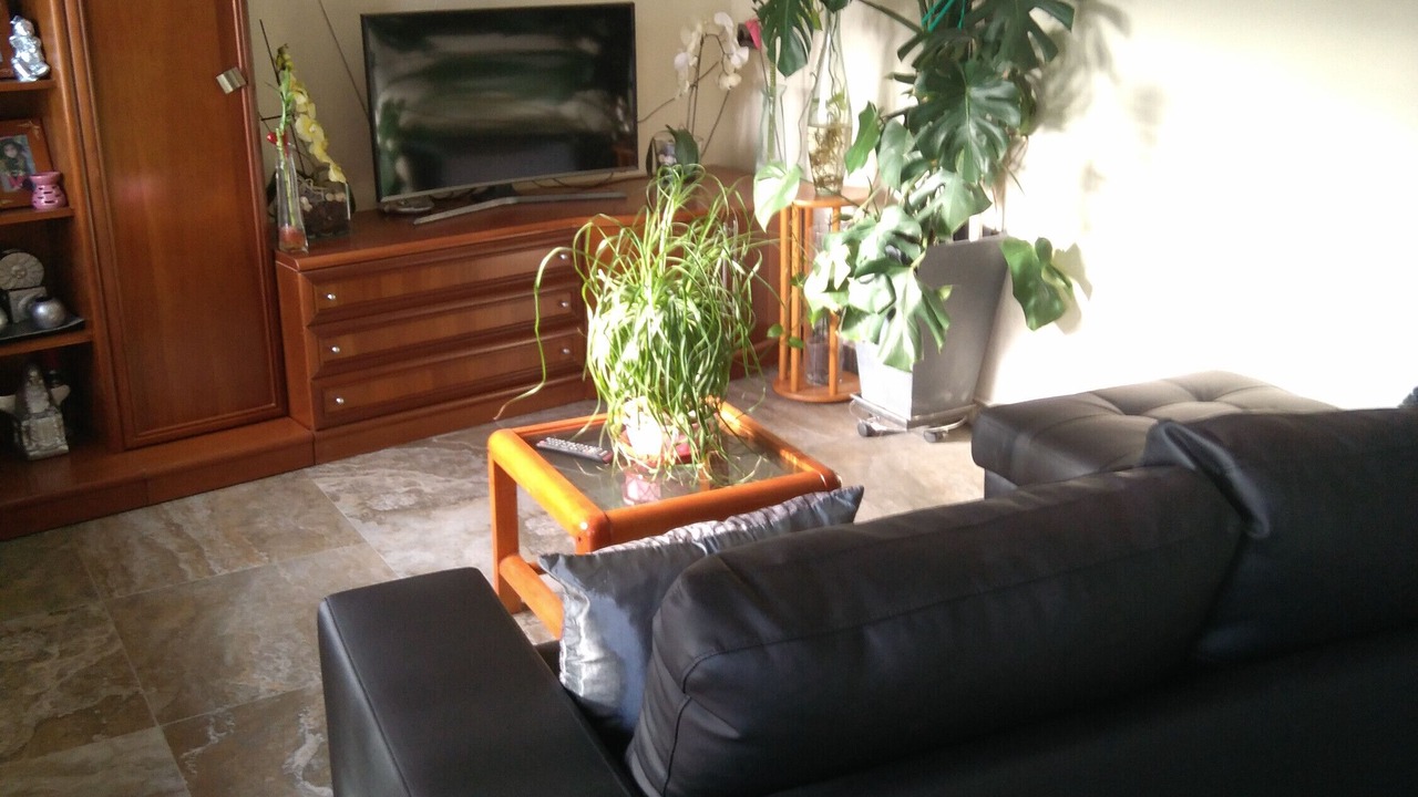 Photo of Livingroom in Baza
