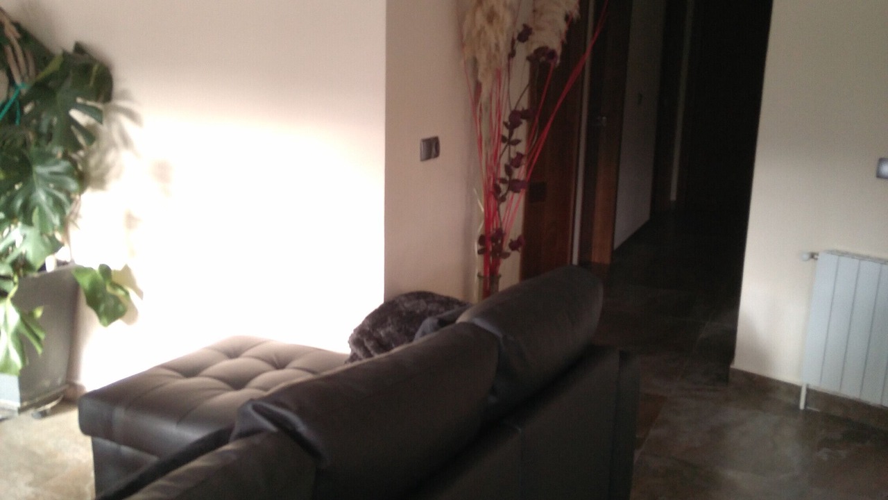 Photo of Others in Baza