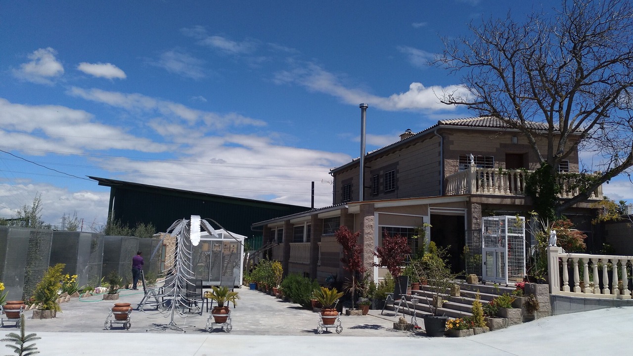 Photo of Others in Baza