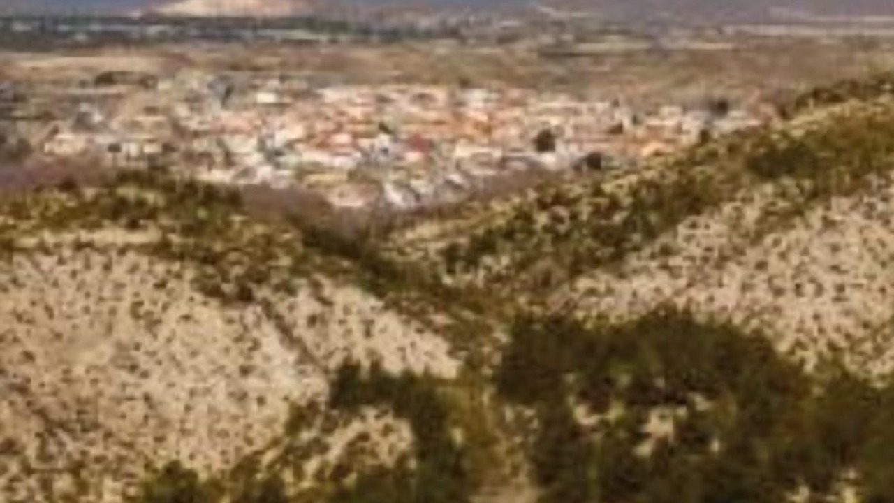 Photo of Others in Castillejar
