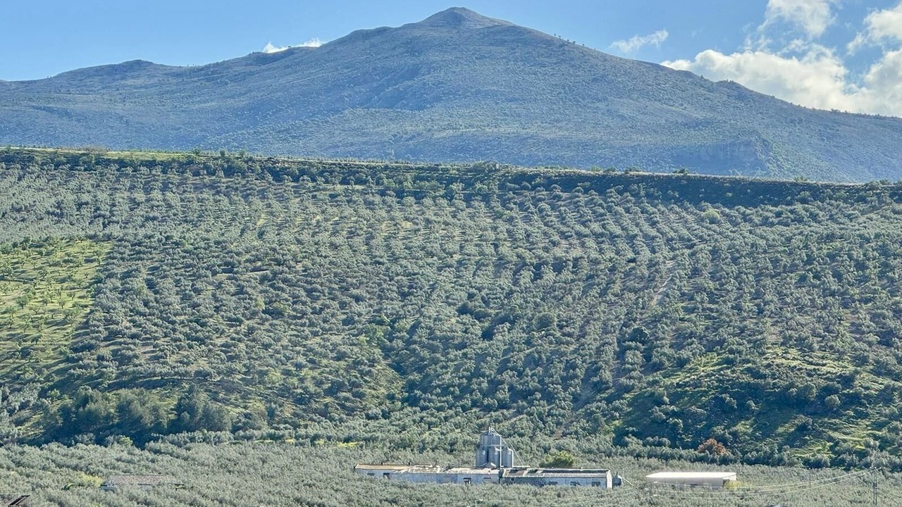 Photo of Outdoor in Salar