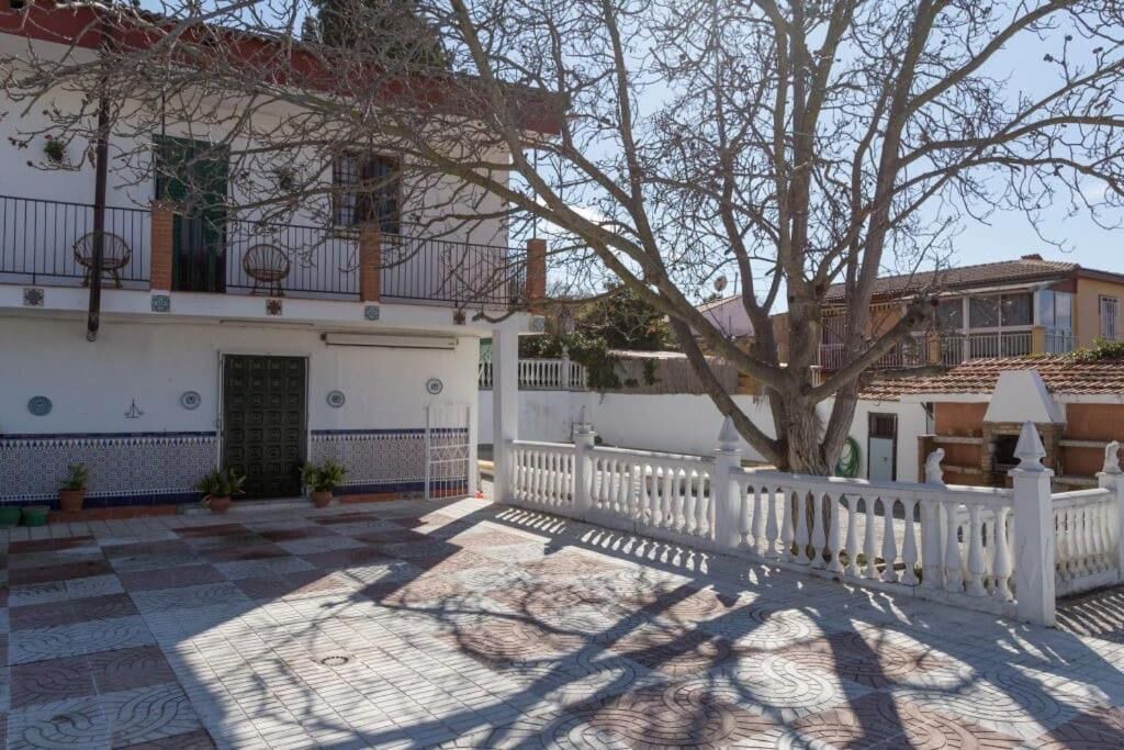 Photo of Outdoor in Viznar