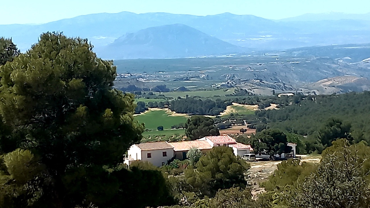 Photo of Others in Castril