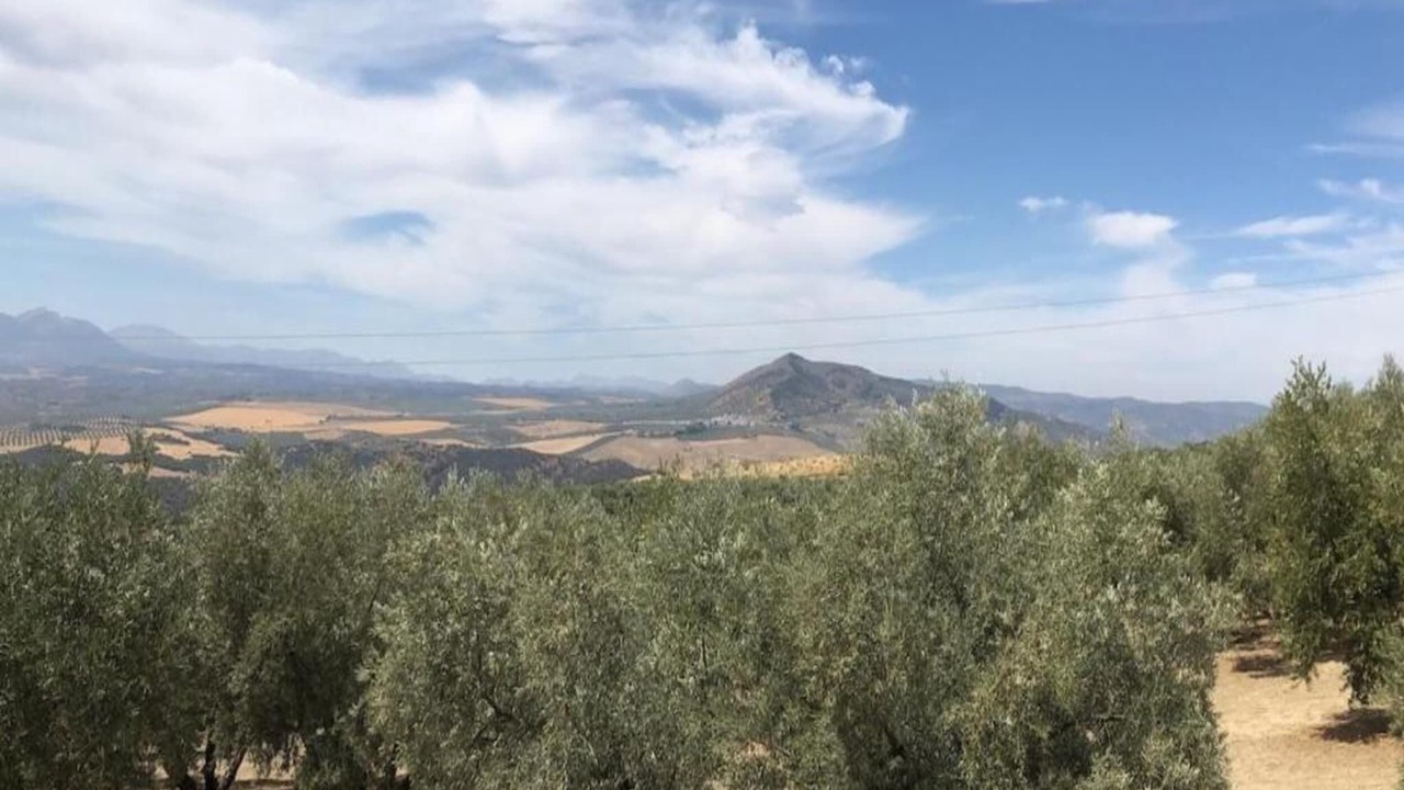 Photo of Others in Algarinejo