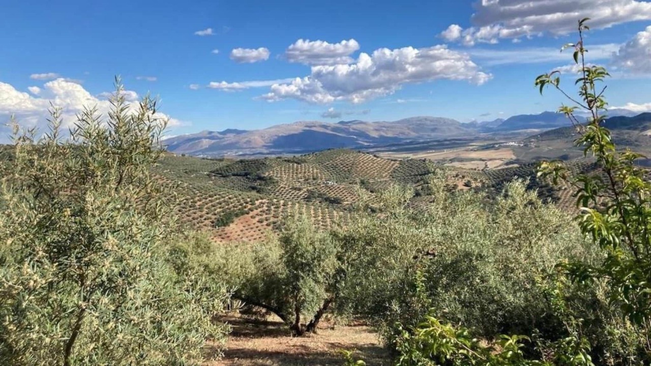 Photo of Others in Algarinejo